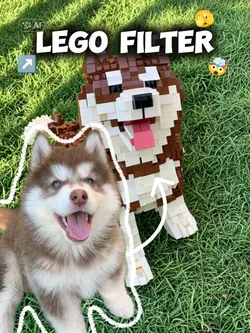 LEGO filter