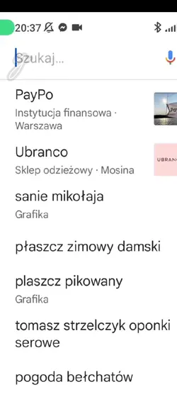Google detektyw lusi