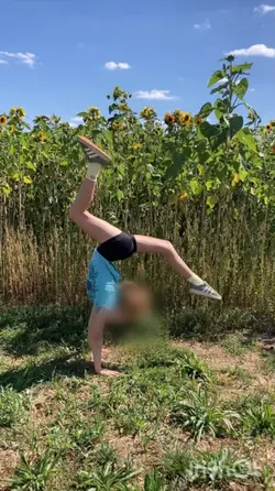 Gymnastics 