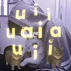 u i i a a cat