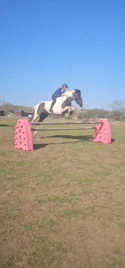 Action <33 