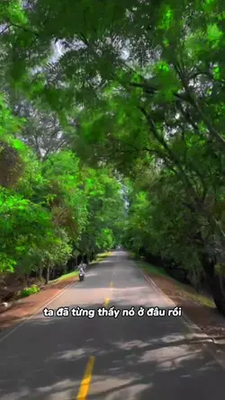 Mẫu Cảnh Đẹp 