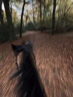 Equestrain 