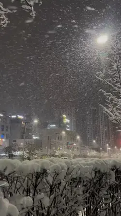 Winter Vlog