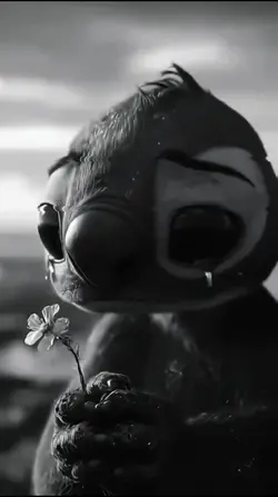 koala sedih trend