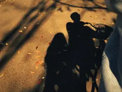 into the Sun _ thv