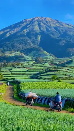 Langgam jawa