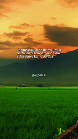 pudar_