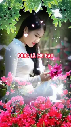 vùng lá me bay