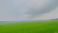 5 clip template 
