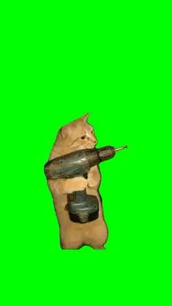 cat working