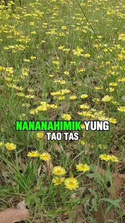 Wag pa victim girl! 