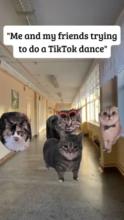 tiktok dance