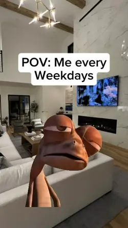 every weekdays