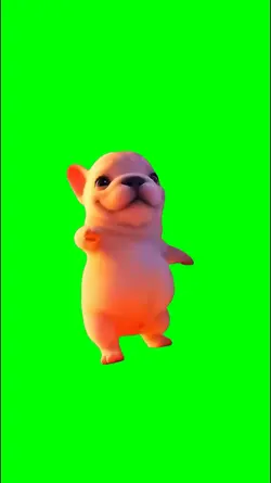 pibble dog dancing 