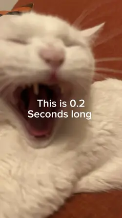 0.2 seconds long