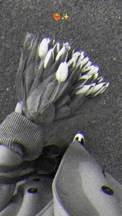 Slowmotion