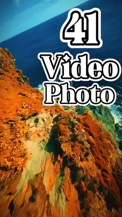 41 clip or photo 