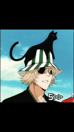 แมวตัวโปรด