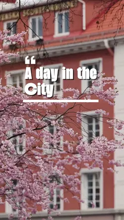 A day in the cit