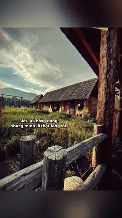 1 ảnh+caption 