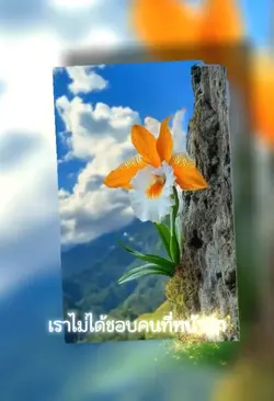 คำคม