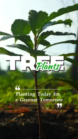 tree plants day