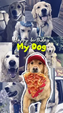 Birthday my dog