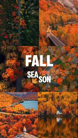 Fall season 