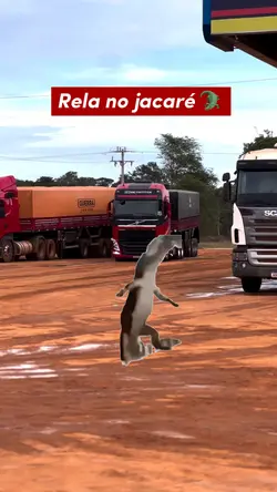 Rela no JACA