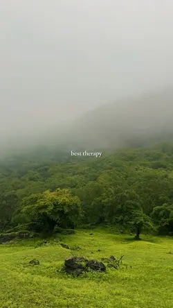 best therapy