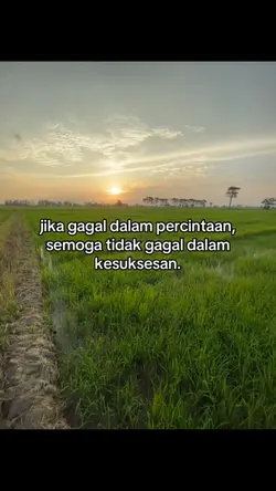 aminn