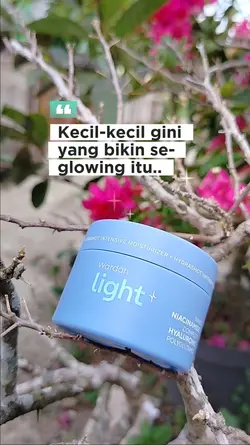 Wardah light+