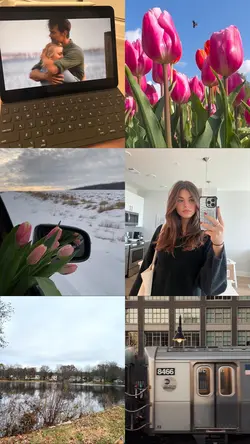 3 photos + 3 videos 