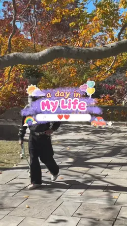 A day in my life