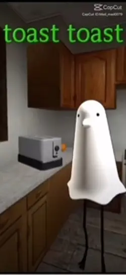 sillybird toast