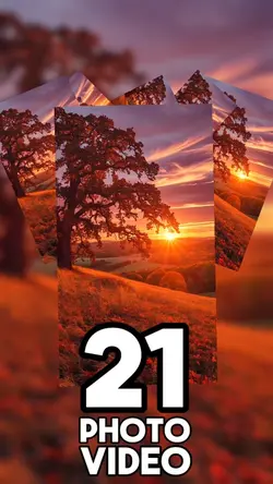 21 clip or photo 