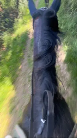 Ausreiten