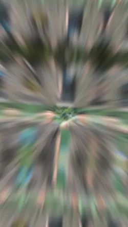 2PIC