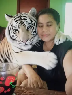 video slowmo 