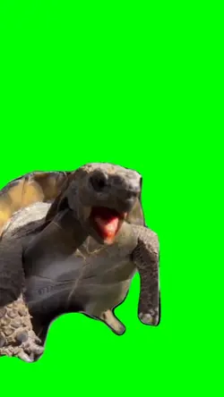 Turtle Making Sound