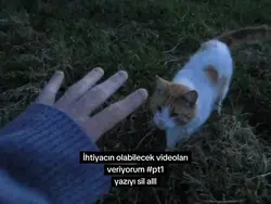 kaydet kullanırsınn