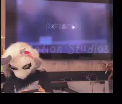 Fursuit Furry Rythem