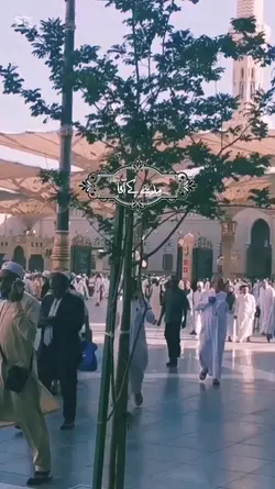 مدینے کو جائیں 