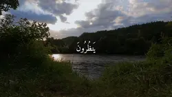 عمر بن ضياء 