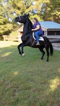 fall from a horse