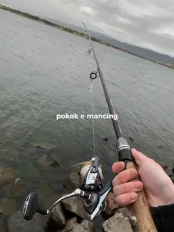 pokok e mancing