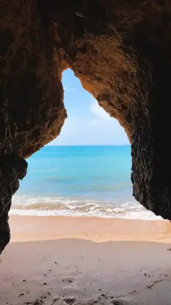 mini vlog