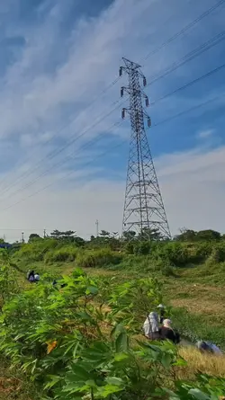 Sutet