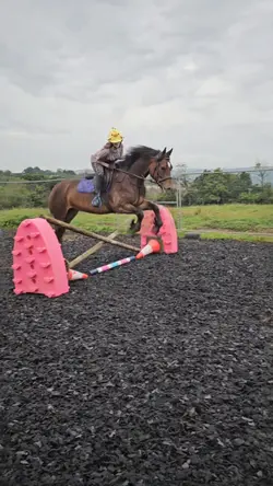 Just ride <3 